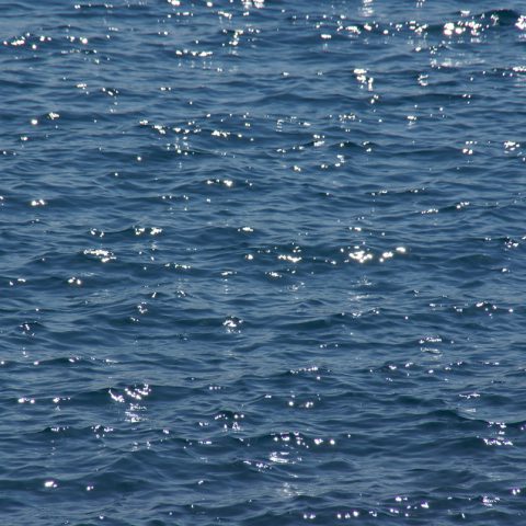 Water (Flickr: freefoto)