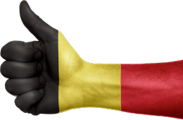 Bron: https://pixabay.com/en/belgium-flag-hand-national-fingers-990428/